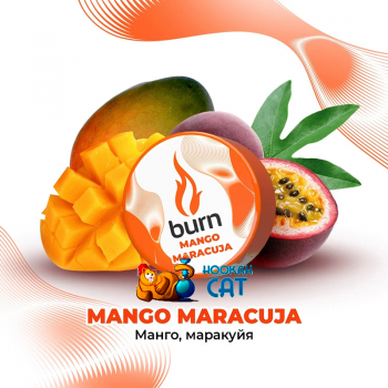 Заказать кальянный табак Burn Mango Maracuja (Манго Маракуйя) 25г онлайн с доставкой всей России - фото 1
